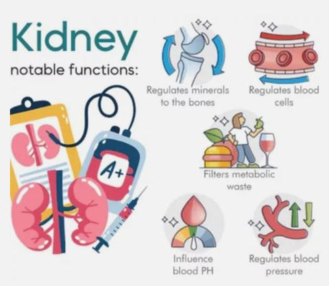 Sugar Control LI4 Acupressure Point Clip (Magnetic)